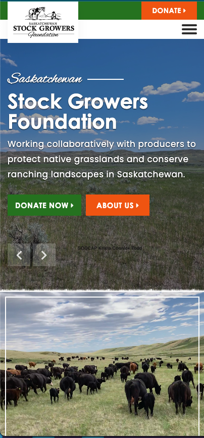 ssgf mobile website - Sask best web designers