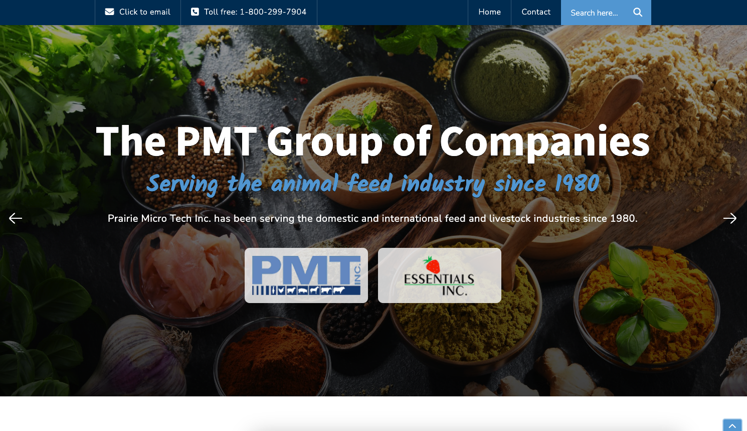 PMT Group Website - Desktop view